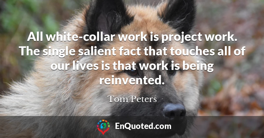 All white-collar work is project work. The single salient fact that touches all of our lives is that work is being reinvented.
