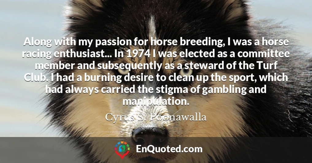 Along with my passion for horse breeding, I was a horse racing enthusiast... In 1974 I was elected as a committee member and subsequently as a steward of the Turf Club. I had a burning desire to clean up the sport, which had always carried the stigma of gambling and manipulation.