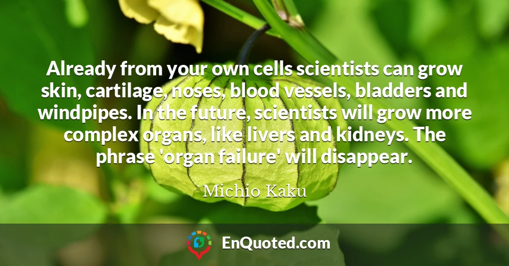 Already from your own cells scientists can grow skin, cartilage, noses, blood vessels, bladders and windpipes. In the future, scientists will grow more complex organs, like livers and kidneys. The phrase 'organ failure' will disappear.