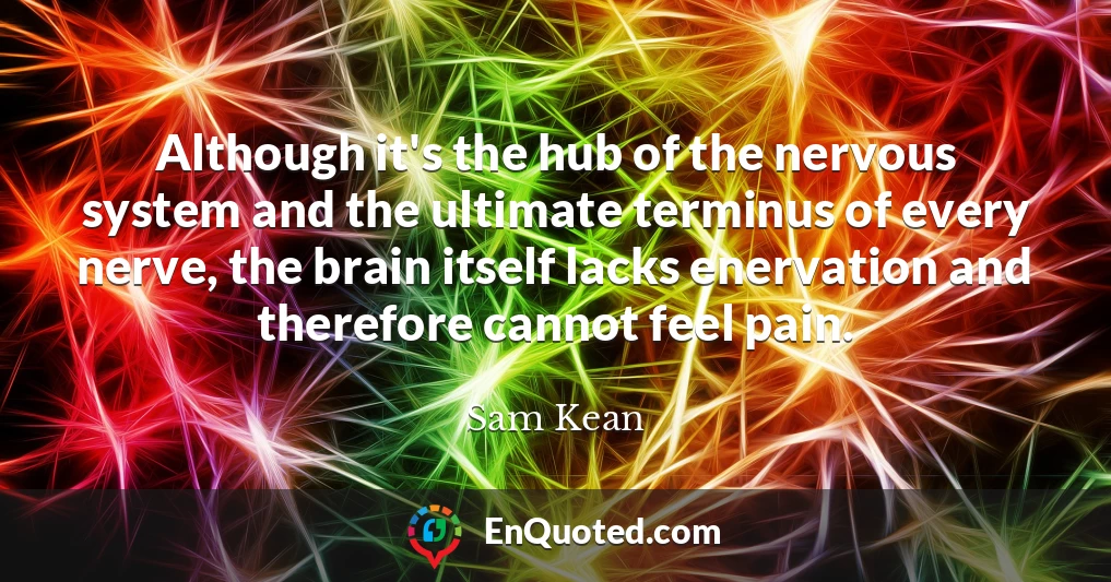 Although it's the hub of the nervous system and the ultimate terminus of every nerve, the brain itself lacks enervation and therefore cannot feel pain.