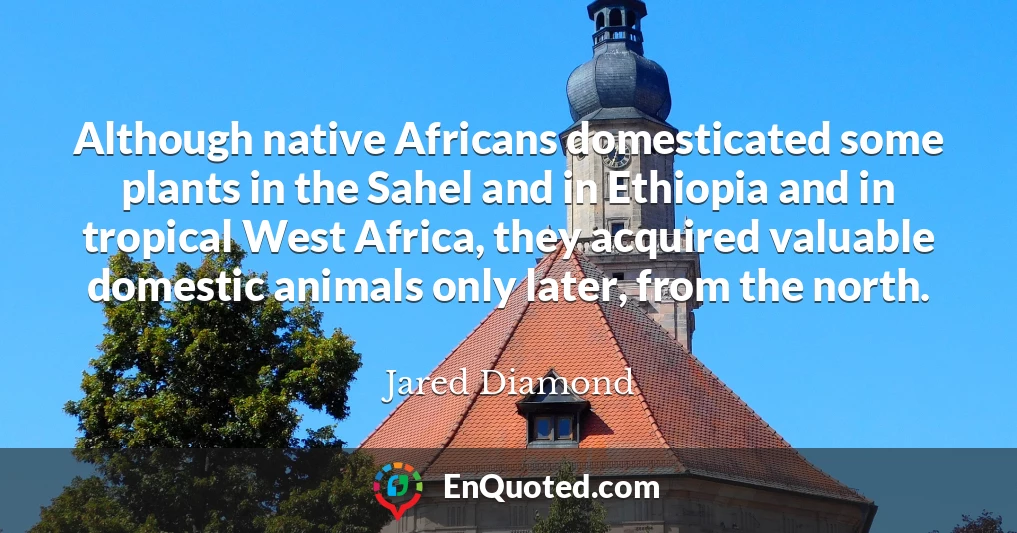 Although native Africans domesticated some plants in the Sahel and in Ethiopia and in tropical West Africa, they acquired valuable domestic animals only later, from the north.
