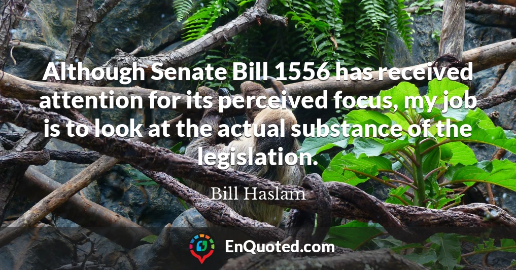 Although Senate Bill 1556 has received attention for its perceived focus, my job is to look at the actual substance of the legislation.