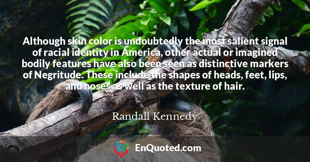 Although skin color is undoubtedly the most salient signal of racial identity in America, other actual or imagined bodily features have also been seen as distinctive markers of Negritude. These include the shapes of heads, feet, lips, and noses as well as the texture of hair.