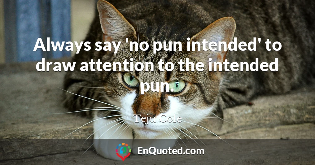 Always say 'no pun intended' to draw attention to the intended pun.