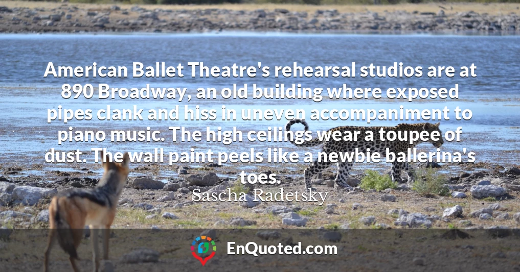 American Ballet Theatre's rehearsal studios are at 890 Broadway, an old building where exposed pipes clank and hiss in uneven accompaniment to piano music. The high ceilings wear a toupee of dust. The wall paint peels like a newbie ballerina's toes.