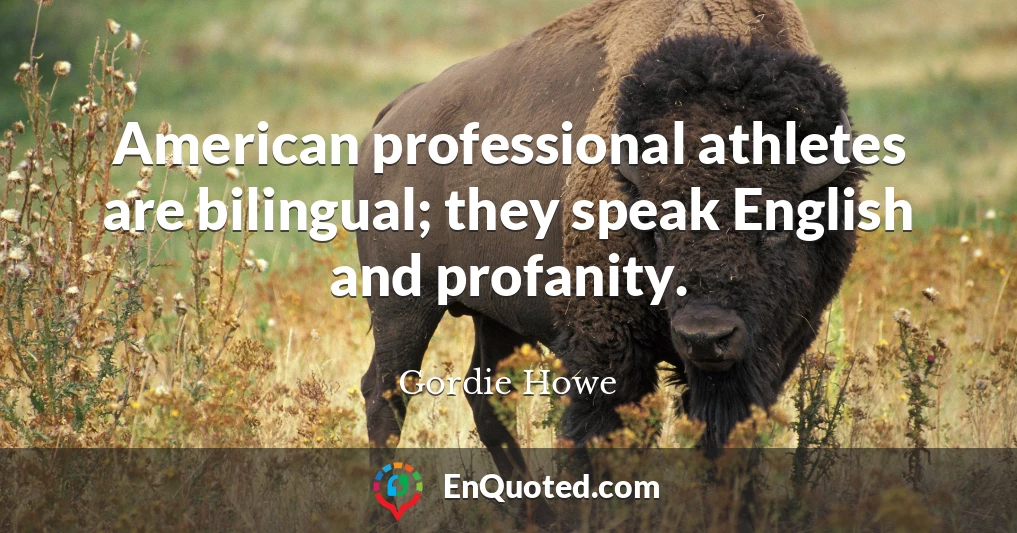 American professional athletes are bilingual; they speak English and profanity.