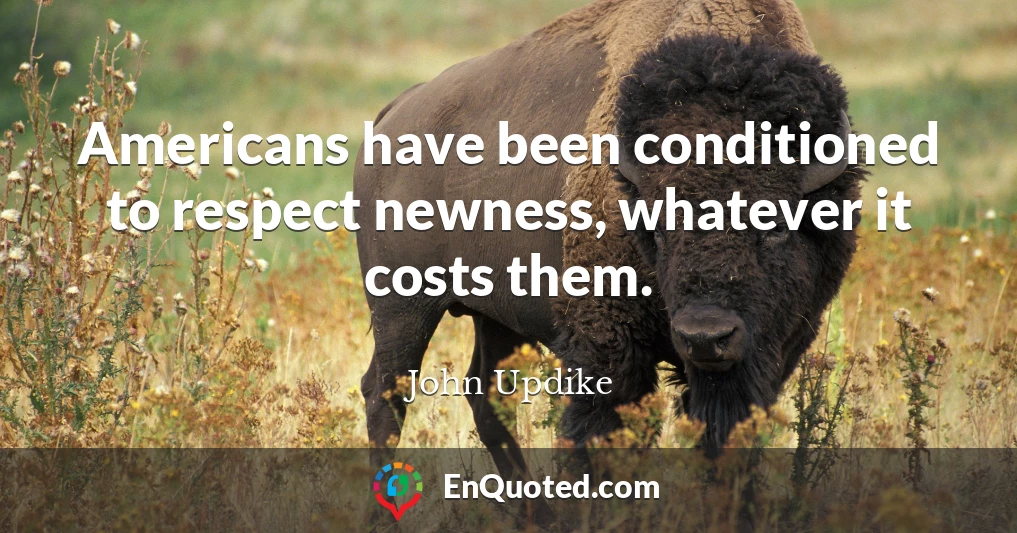 Americans have been conditioned to respect newness, whatever it costs them.