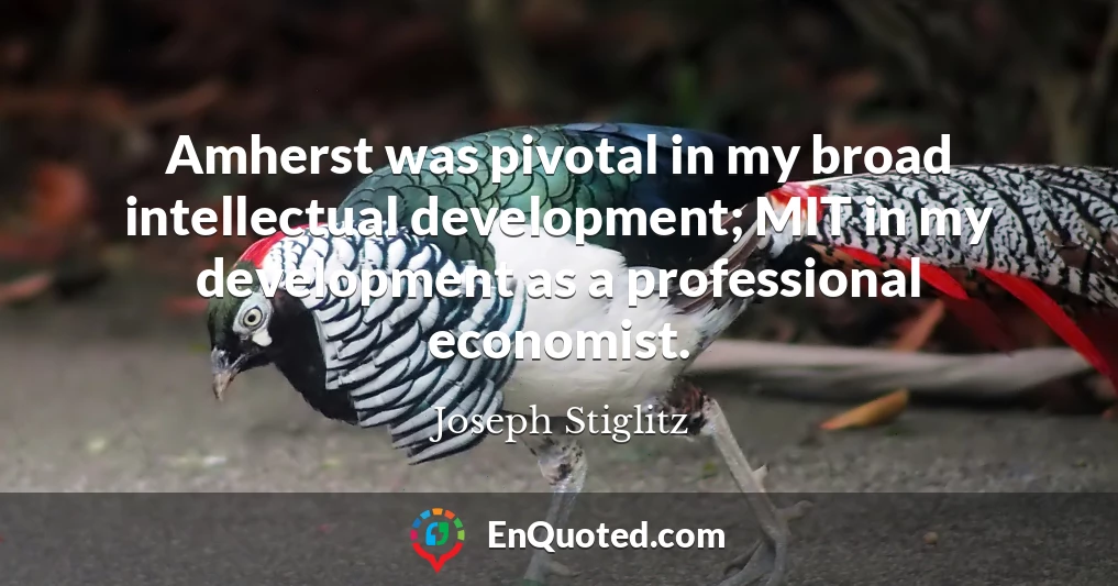 Amherst was pivotal in my broad intellectual development; MIT in my development as a professional economist.