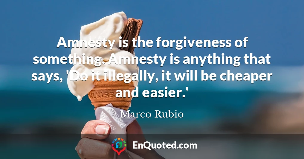 Amnesty is the forgiveness of something. Amnesty is anything that says, 'Do it illegally, it will be cheaper and easier.'
