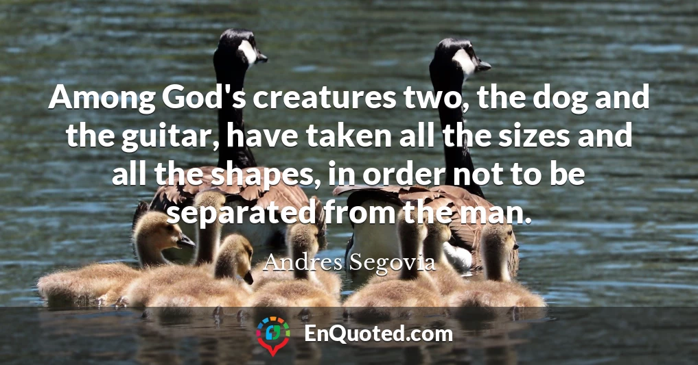 Among God's creatures two, the dog and the guitar, have taken all the sizes and all the shapes, in order not to be separated from the man.