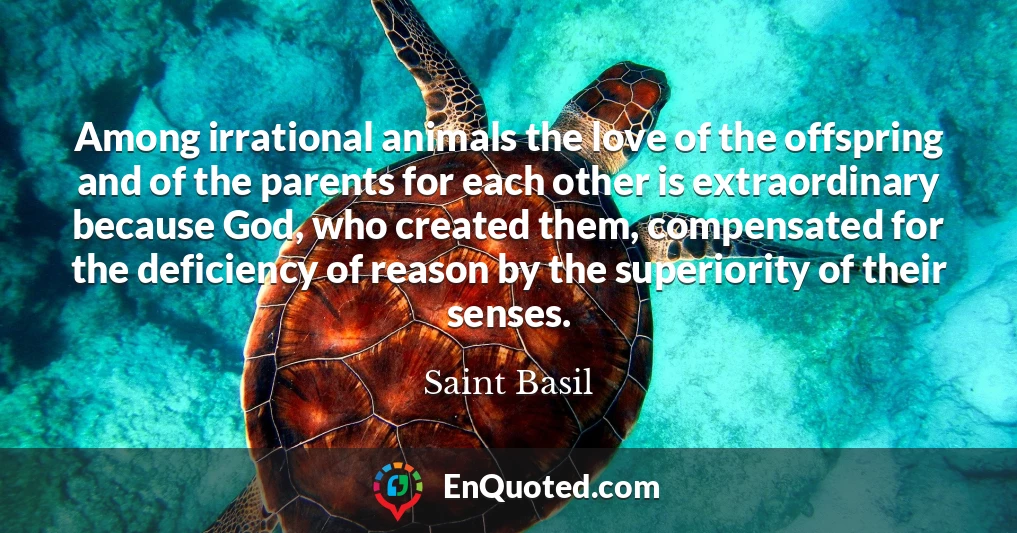 Among irrational animals the love of the offspring and of the parents for each other is extraordinary because God, who created them, compensated for the deficiency of reason by the superiority of their senses.