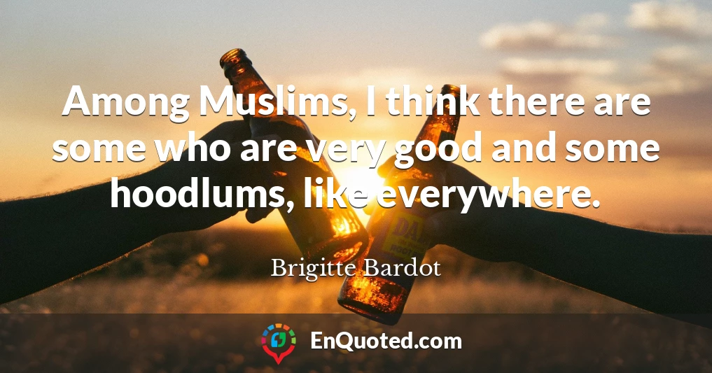 Among Muslims, I think there are some who are very good and some hoodlums, like everywhere.