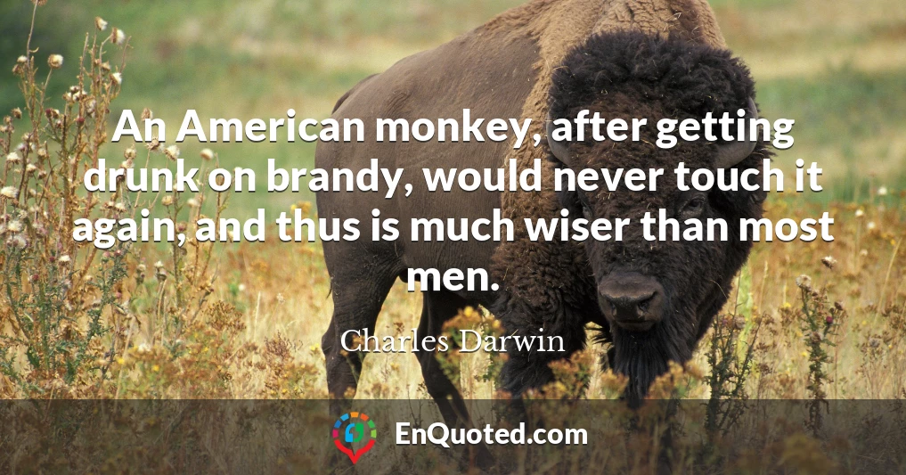 An American monkey, after getting drunk on brandy, would never touch it again, and thus is much wiser than most men.