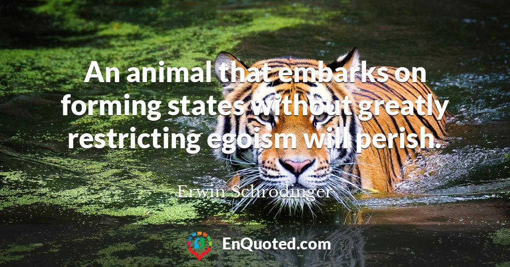 An animal that embarks on forming states without greatly restricting egoism will perish.