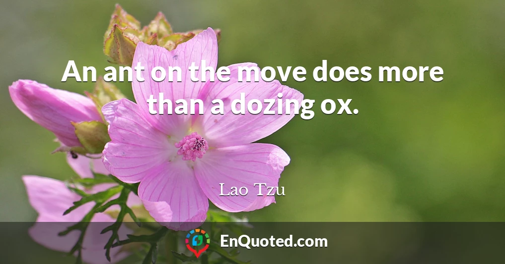 An ant on the move does more than a dozing ox.