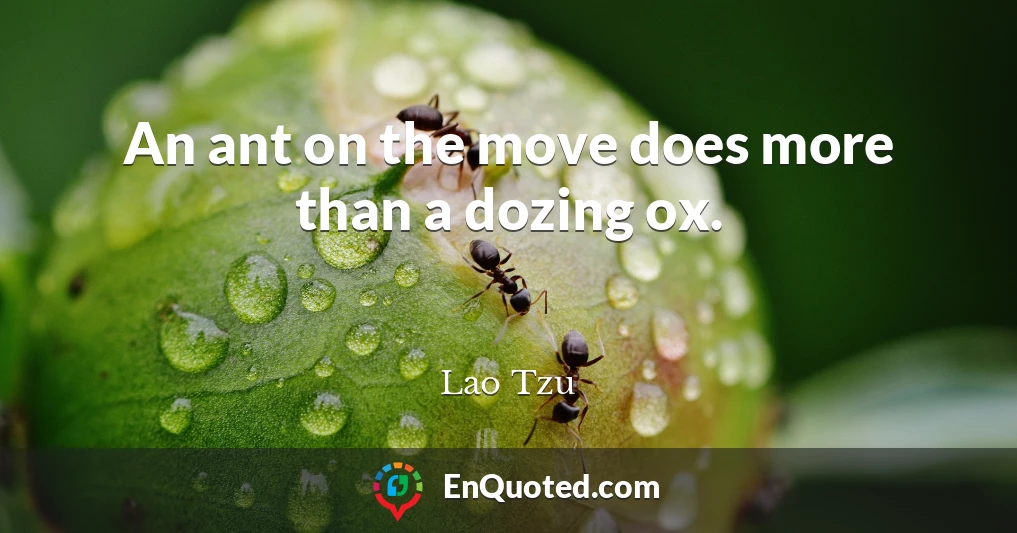 An ant on the move does more than a dozing ox.