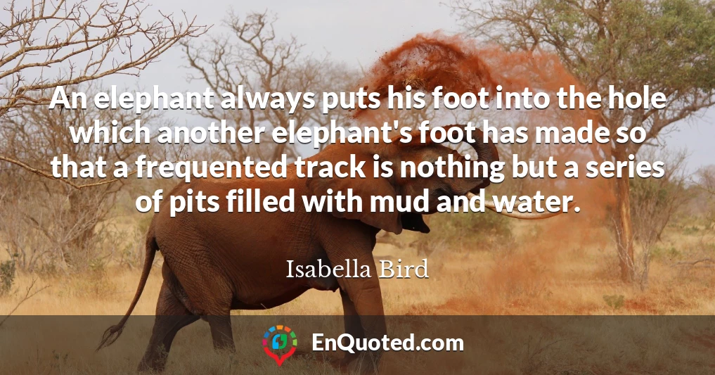 An elephant always puts his foot into the hole which another elephant's foot has made so that a frequented track is nothing but a series of pits filled with mud and water.