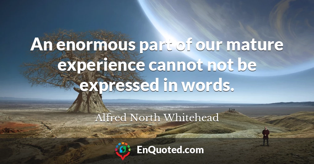 An enormous part of our mature experience cannot not be expressed in words.