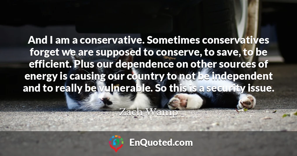 And I am a conservative. Sometimes conservatives forget we are supposed to conserve, to save, to be efficient. Plus our dependence on other sources of energy is causing our country to not be independent and to really be vulnerable. So this is a security issue.