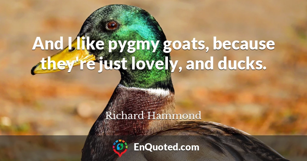And I like pygmy goats, because they're just lovely, and ducks.