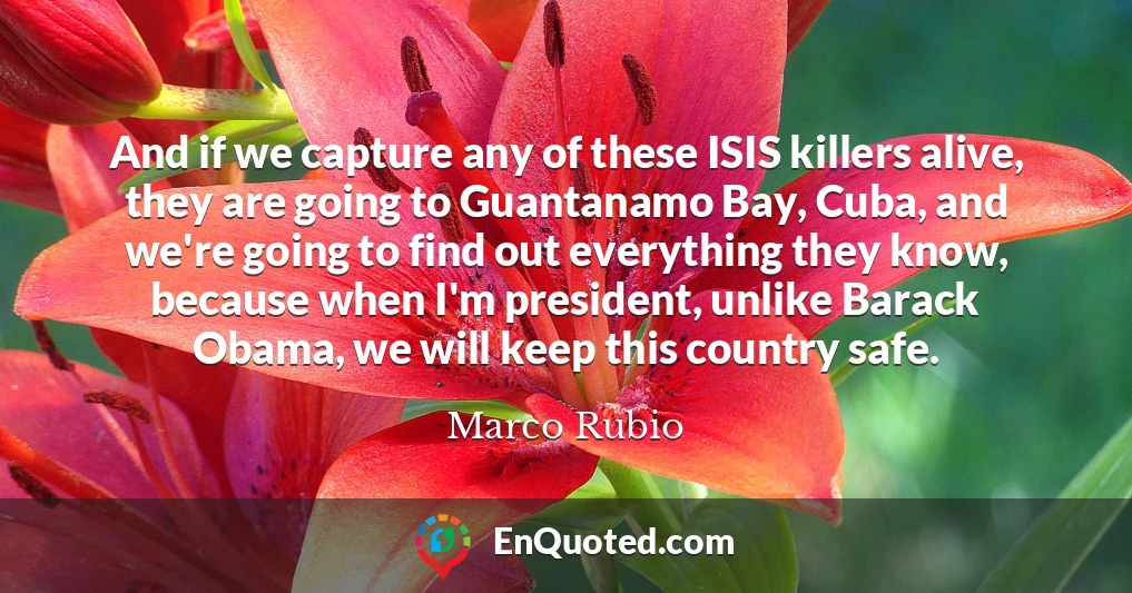 And if we capture any of these ISIS killers alive, they are going to Guantanamo Bay, Cuba, and we're going to find out everything they know, because when I'm president, unlike Barack Obama, we will keep this country safe.