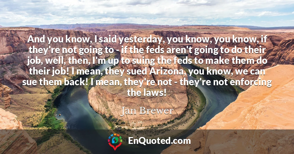 And you know, I said yesterday, you know, you know, if they're not going to - if the feds aren't going to do their job, well, then, I'm up to suing the feds to make them do their job! I mean, they sued Arizona, you know, we can sue them back! I mean, they're not - they're not enforcing the laws!