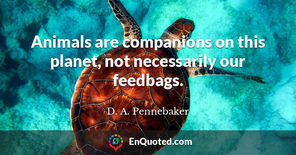 Animals are companions on this planet, not necessarily our feedbags.