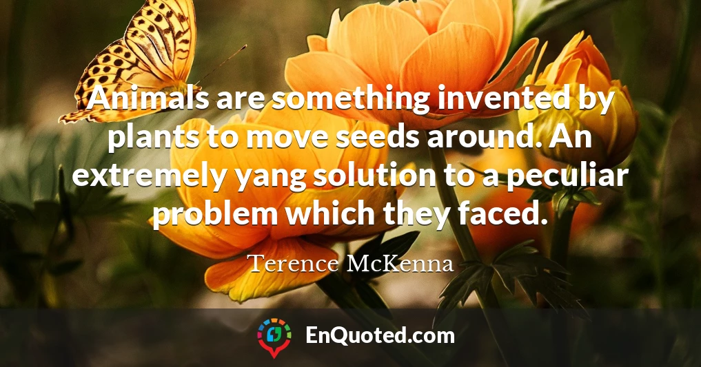 Animals are something invented by plants to move seeds around. An extremely yang solution to a peculiar problem which they faced.