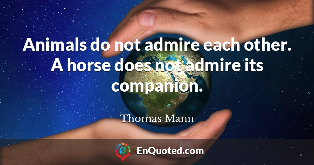 Animals do not admire each other. A horse does not admire its companion.