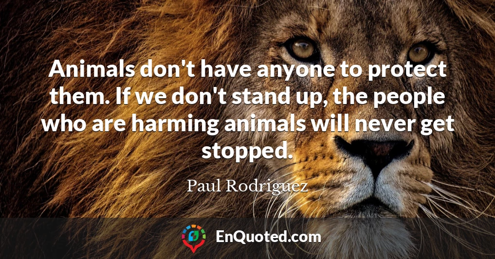 Animals don't have anyone to protect them. If we don't stand up, the people who are harming animals will never get stopped.