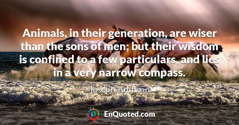 Animals, in their generation, are wiser than the sons of men; but their wisdom is confined to a few particulars, and lies in a very narrow compass.