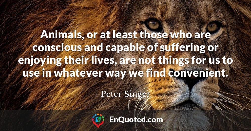 Animals, or at least those who are conscious and capable of suffering or enjoying their lives, are not things for us to use in whatever way we find convenient.