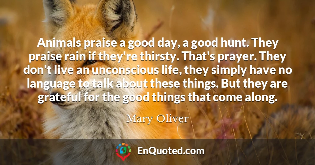 Animals praise a good day, a good hunt. They praise rain if they're thirsty. That's prayer. They don't live an unconscious life, they simply have no language to talk about these things. But they are grateful for the good things that come along.