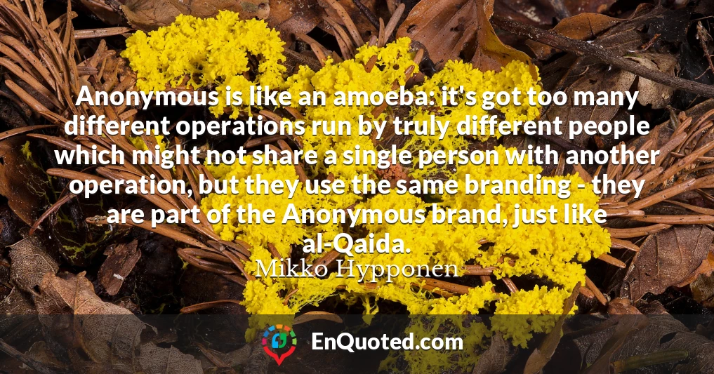 Anonymous is like an amoeba: it's got too many different operations run by truly different people which might not share a single person with another operation, but they use the same branding - they are part of the Anonymous brand, just like al-Qaida.