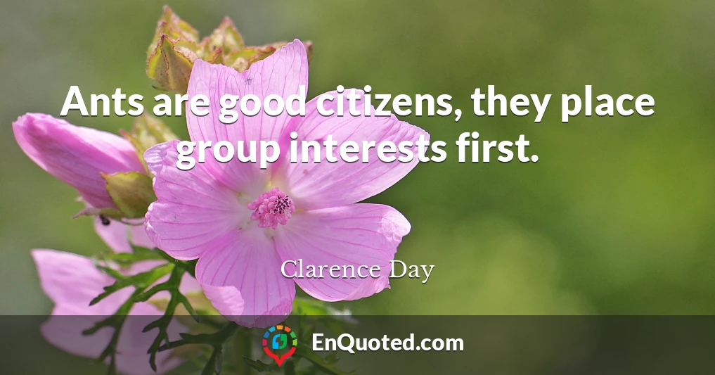 Ants are good citizens, they place group interests first.