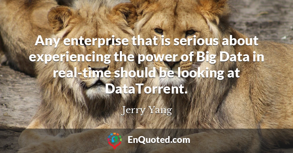 Any enterprise that is serious about experiencing the power of Big Data in real-time should be looking at DataTorrent.
