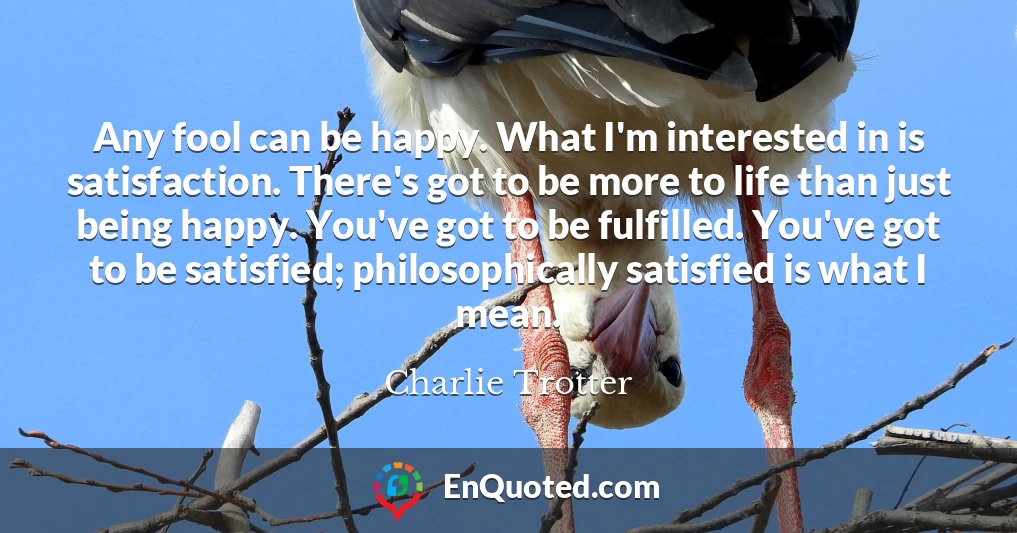 Any fool can be happy. What I'm interested in is satisfaction. There's got to be more to life than just being happy. You've got to be fulfilled. You've got to be satisfied; philosophically satisfied is what I mean.