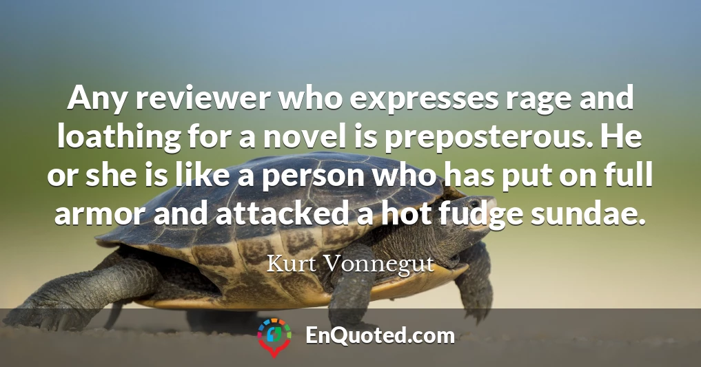 Any reviewer who expresses rage and loathing for a novel is preposterous. He or she is like a person who has put on full armor and attacked a hot fudge sundae.