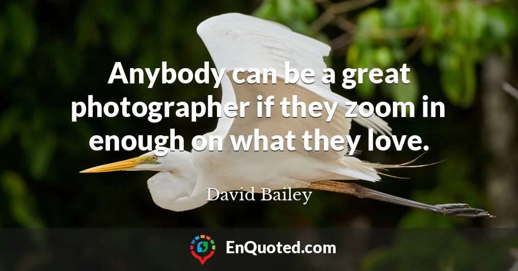 Anybody can be a great photographer if they zoom in enough on what they love.
