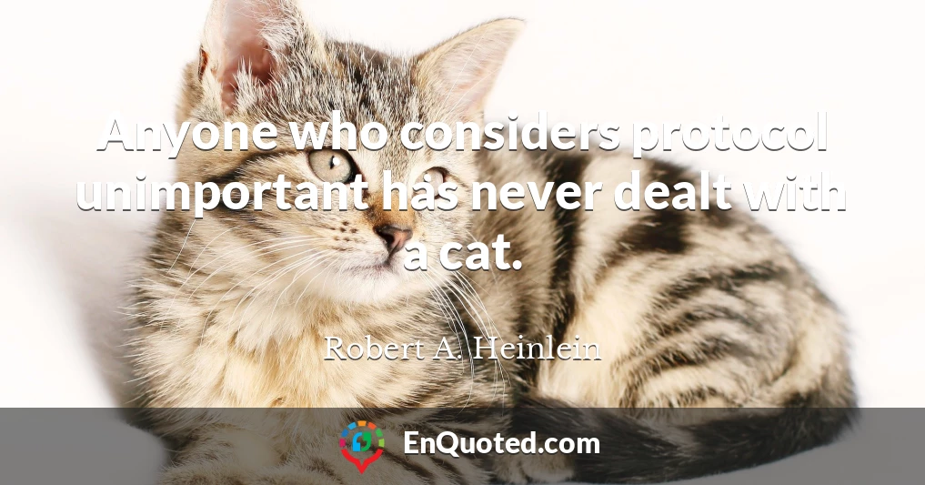 Anyone who considers protocol unimportant has never dealt with a cat.