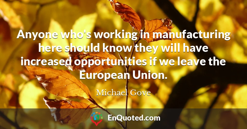 Anyone who's working in manufacturing here should know they will have increased opportunities if we leave the European Union.