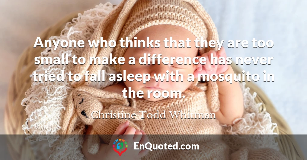 Anyone who thinks that they are too small to make a difference has never tried to fall asleep with a mosquito in the room.