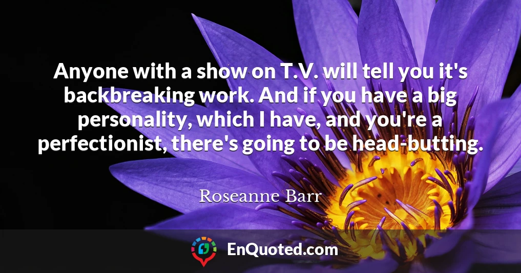 Anyone with a show on T.V. will tell you it's backbreaking work. And if you have a big personality, which I have, and you're a perfectionist, there's going to be head-butting.