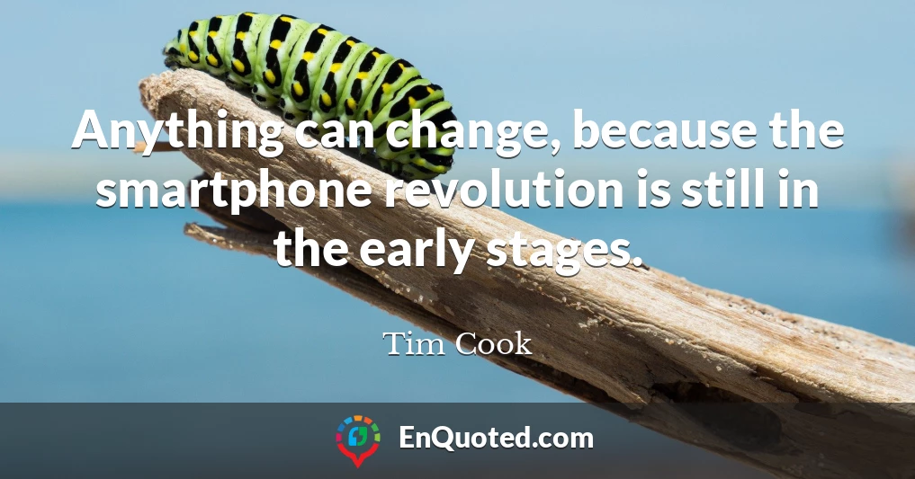 Anything can change, because the smartphone revolution is still in the early stages.