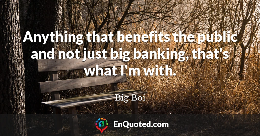 Anything that benefits the public and not just big banking, that's what I'm with.