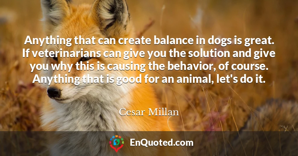 Anything that can create balance in dogs is great. If veterinarians can give you the solution and give you why this is causing the behavior, of course. Anything that is good for an animal, let's do it.