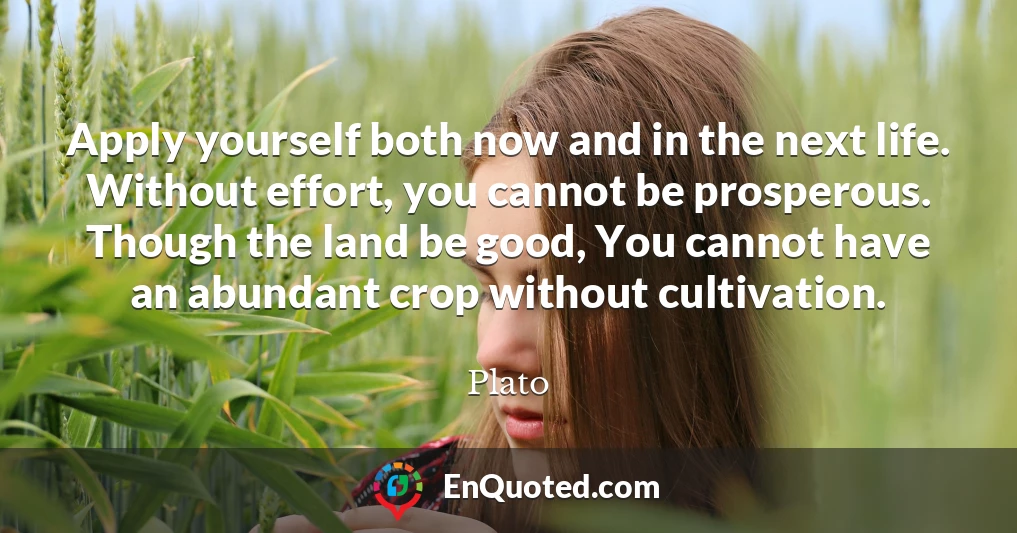 Apply yourself both now and in the next life. Without effort, you cannot be prosperous. Though the land be good, You cannot have an abundant crop without cultivation.
