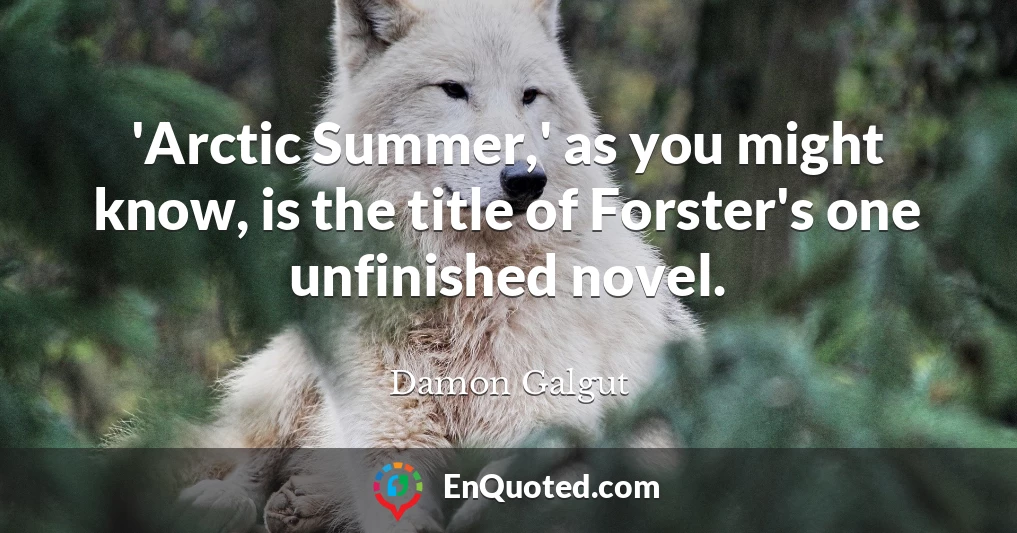 'Arctic Summer,' as you might know, is the title of Forster's one unfinished novel.