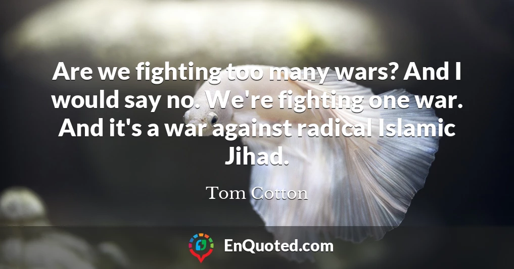 Are we fighting too many wars? And I would say no. We're fighting one war. And it's a war against radical Islamic Jihad.