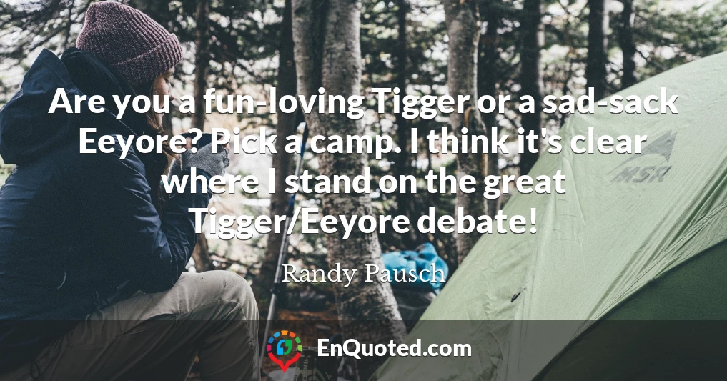 Are you a fun-loving Tigger or a sad-sack Eeyore? Pick a camp. I think it's clear where I stand on the great Tigger/Eeyore debate!